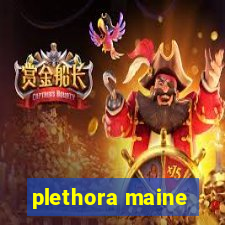 plethora maine